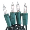50-Light Clear Bulb/Green Wire 5.5" Centers. Case Pack (24 Sets) 1 50-Light Clear Bulb/Green Wire 5.5" Centers. Case Pack (24 Sets) -Winter Decor Market 100039238