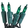 50-Light Green Bulb/Green Wire. 5.5" Centers. Case Pack (24 Sets) 1 50-Light Green Bulb/Green Wire. 5.5" Centers. Case Pack (24 Sets) -Winter Decor Market 100039242 Incandescent 50 Mini Lights Green Green 201212