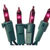 50-Light Purple Bulb/Green Wire. 5.5" Centers. Case Pack (24 Sets) 1 50-Light Purple Bulb/Green Wire. 5.5" Centers. Case Pack (24 Sets) -Winter Decor Market 100039244 Incandescent 50 Mini Light Purple Green 201212