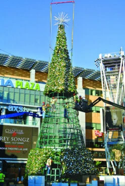 Giant Sequoia Tower Christmas Tree -Winter Decor Market LA Live Tree Construction