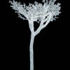 8' LED Lit Acrylic Acacia Tree Sculpture -Winter Decor Market LEDAcrylicAcaciaTreeSculptureOutdoor