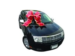 Giant Car Bow W/ Suction Cups