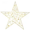 LED Leavesden Vine Star Accent -Winter Decor Market LeavesdenVineStarIlluminated