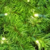 Mountain Pine Garland - 10' Length X 14" 2 Mountain Pine Garland - 10' Length X 14" -Winter Decor Market Mountain Pine Close Up