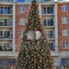 Giant Commercial Christmas Tree - Decor Packages
