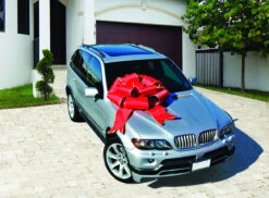 Red Multi Loop Puff Bow -Winter Decor Market Red Multiloop Bow App