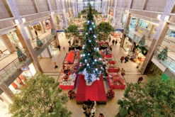 Winter Decor Market 11 Winter Decor Market -Winter Decor Market XMA583 S01